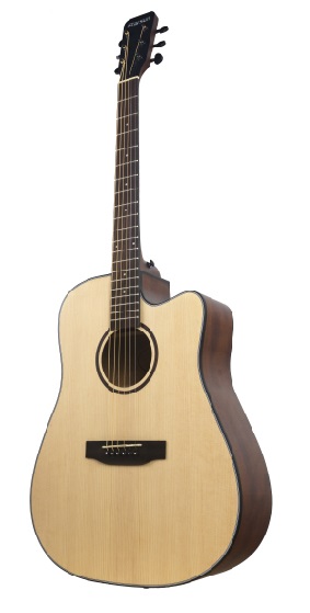 Фото Акустическая гитара STARSUN D1cs