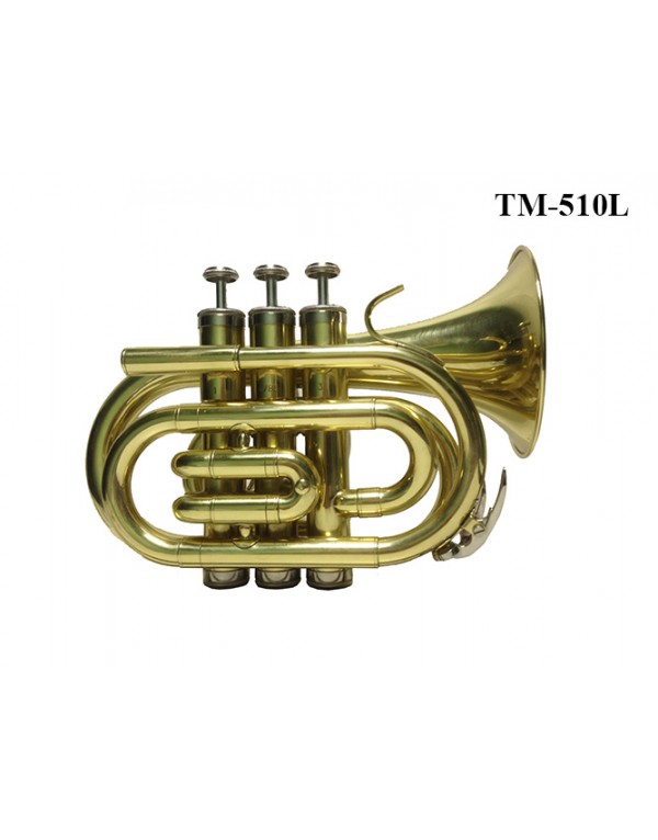 Фото Труба-мини BRAHNER  TM-510L