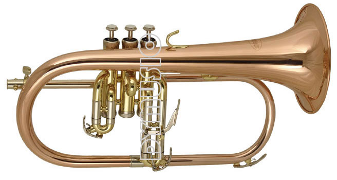 Фото Флюгельгорн WISEMANN FLH-600