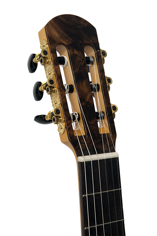 Фото Классическая гитара NewTone Silena NT SP