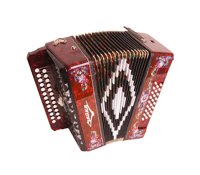 Фото Гармонь "Чайка 314" Шуйская гармонь S5XLY-A-RD