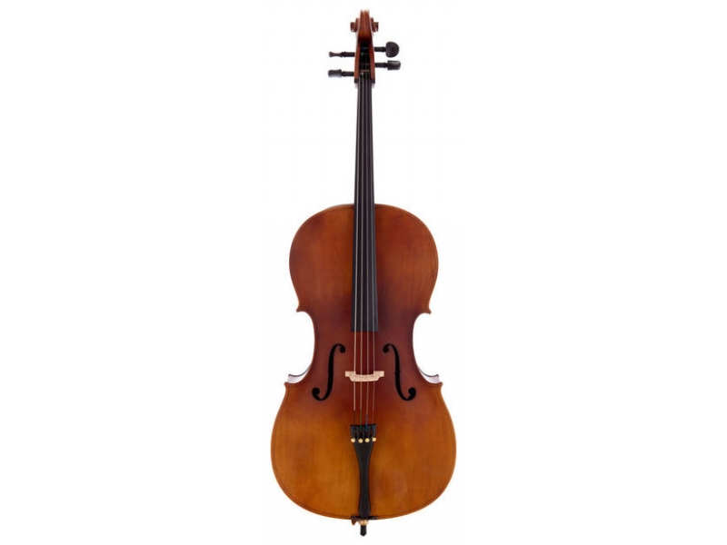 Фото Виолончель ALINA AC023