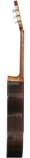 Фото Классическая гитара Kremona F65C Cedar Fiesta Soloist Series