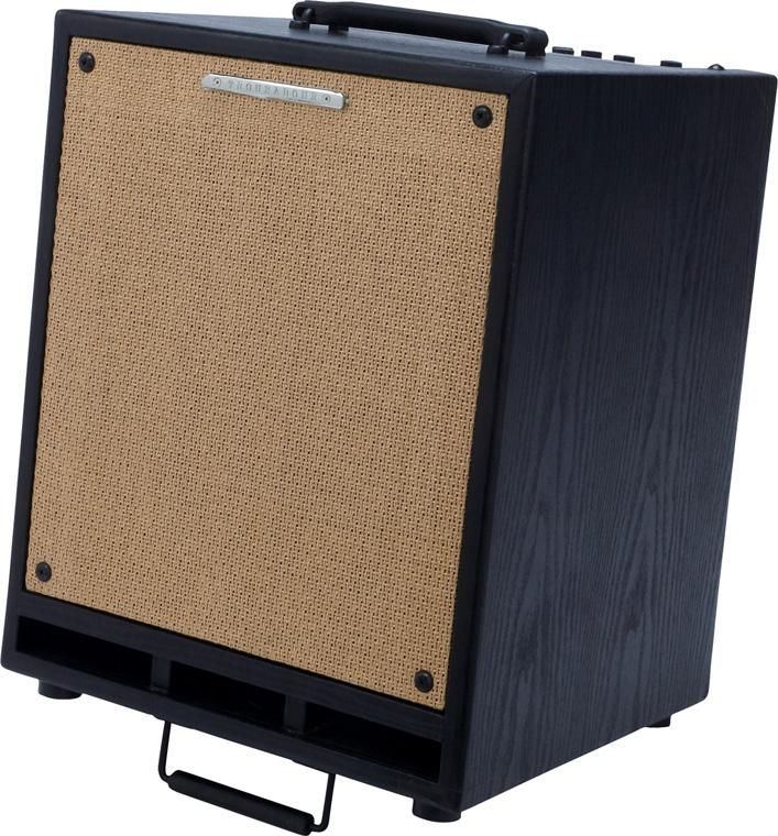 Фото Комбо IBANEZ T80N-U TROUBADOUR ACOUSTIC COMBO