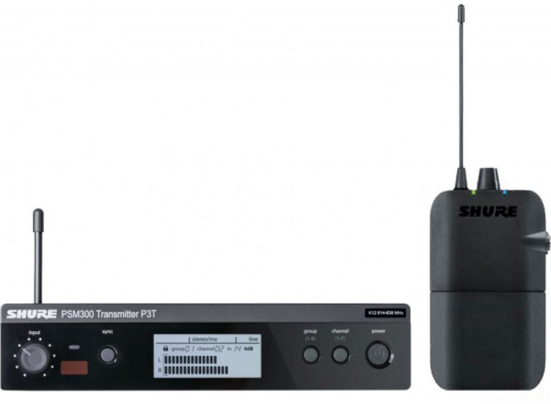 Фото SHURE P3TER M16