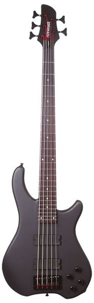 Фото Fernandes T5D(06)MBS