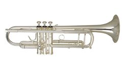 Фото Труба WISEMANN DTR-500SP