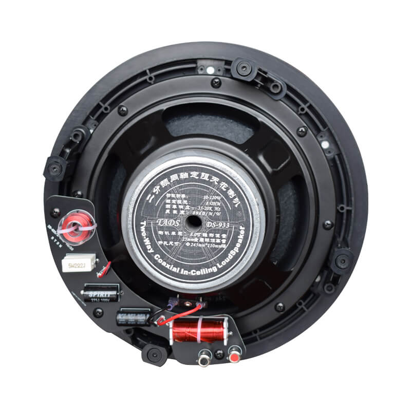 Фото Громкоговоритель потолочный TADS DS-930