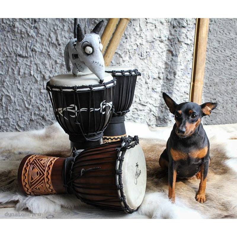 Фото YUKA DJWN010-20BR2 - Джембе с верёвочной настройкой Юка