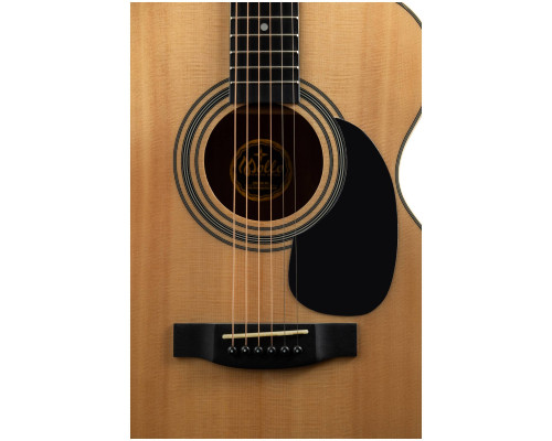 Фото Акустическая гитара Mollo OM-100 NA