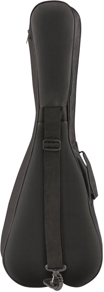 Фото FENDER UKULELE RINCON OVANGKOL NAT WB