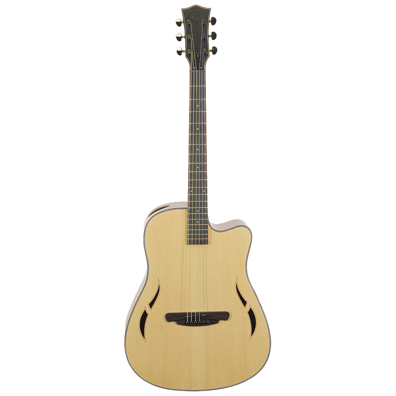 Фото Гитара акустическая SQOE SQ-F Set