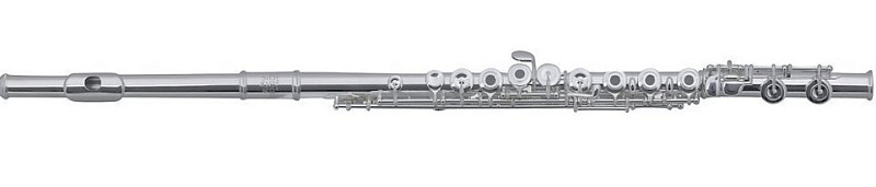 Фото Флейта ROY BENSON FL-602RE