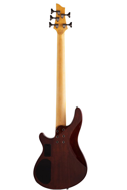 Фото Бас гитара Schecter OMEN EXTREME-5 VSB