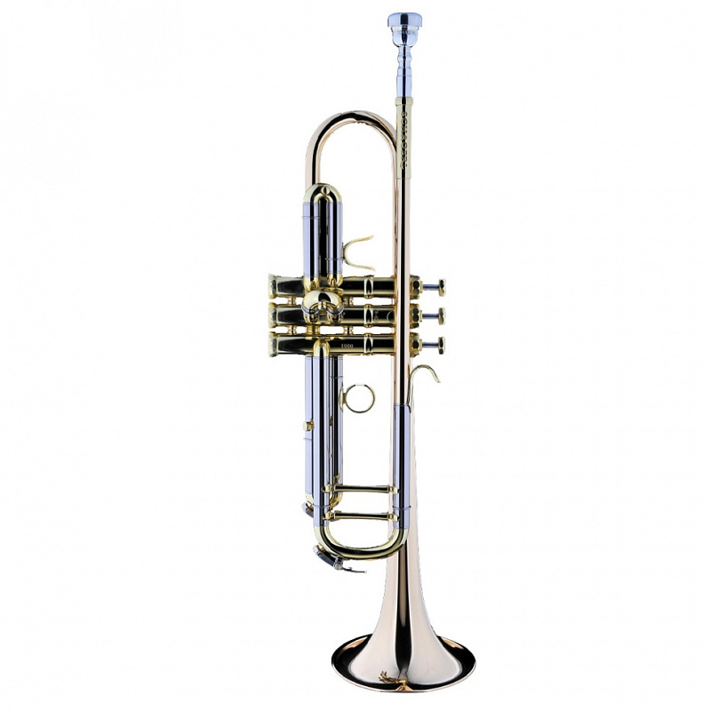 Фото Schagerl Academica TR-620L Bb