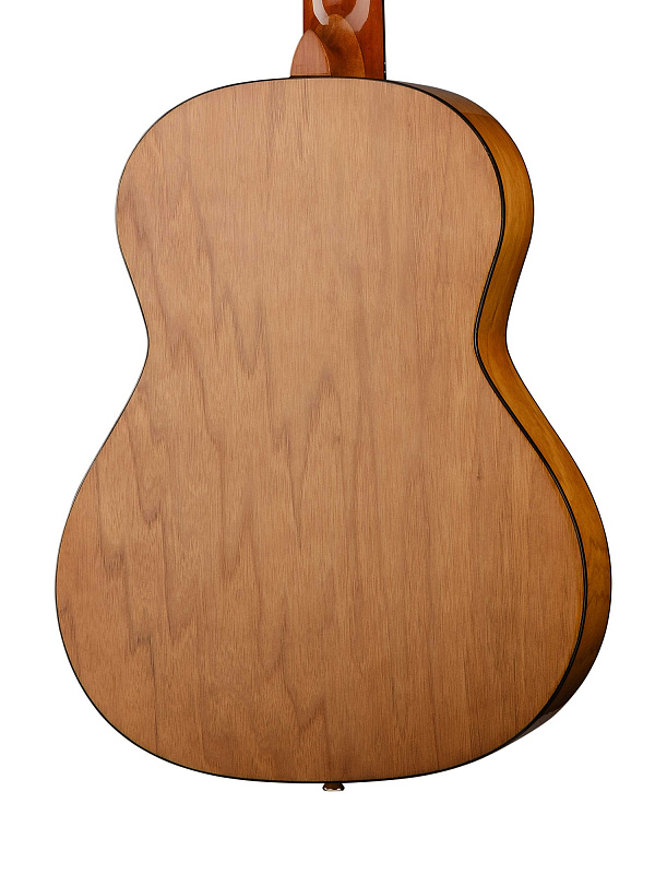 Фото Классическая гитара Ortega RST5-3/4 Student Series