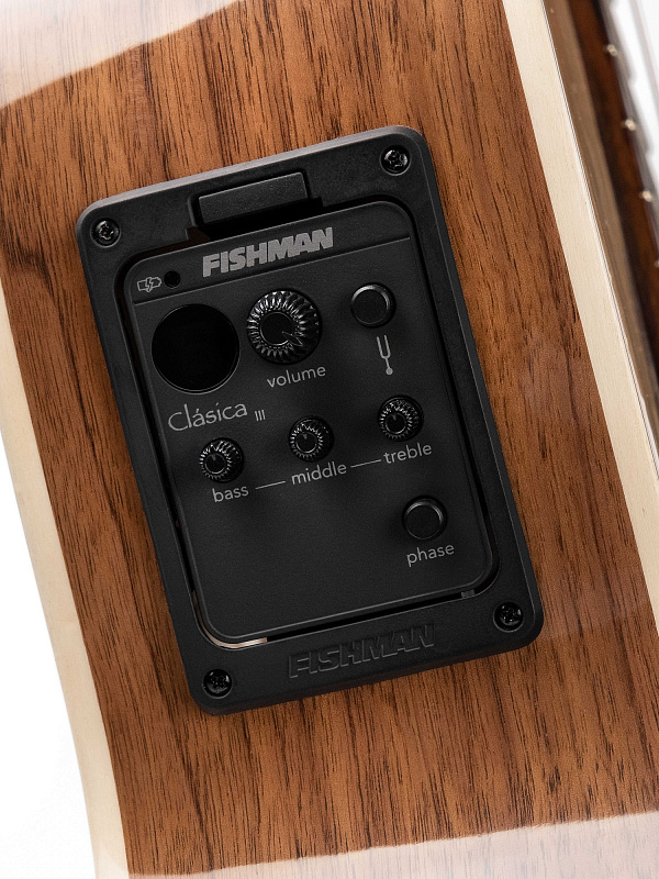 Фото Электроакустическая гитара Kremona R65CW Performer Series Rondo