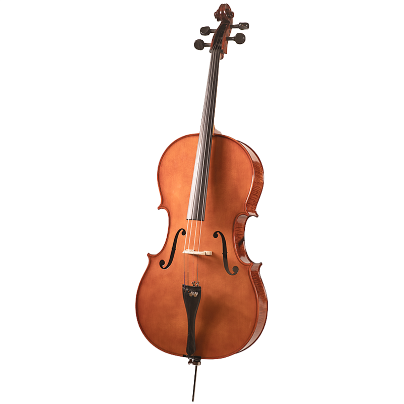 Фото Виолончель Strunal 4/17H-1/2