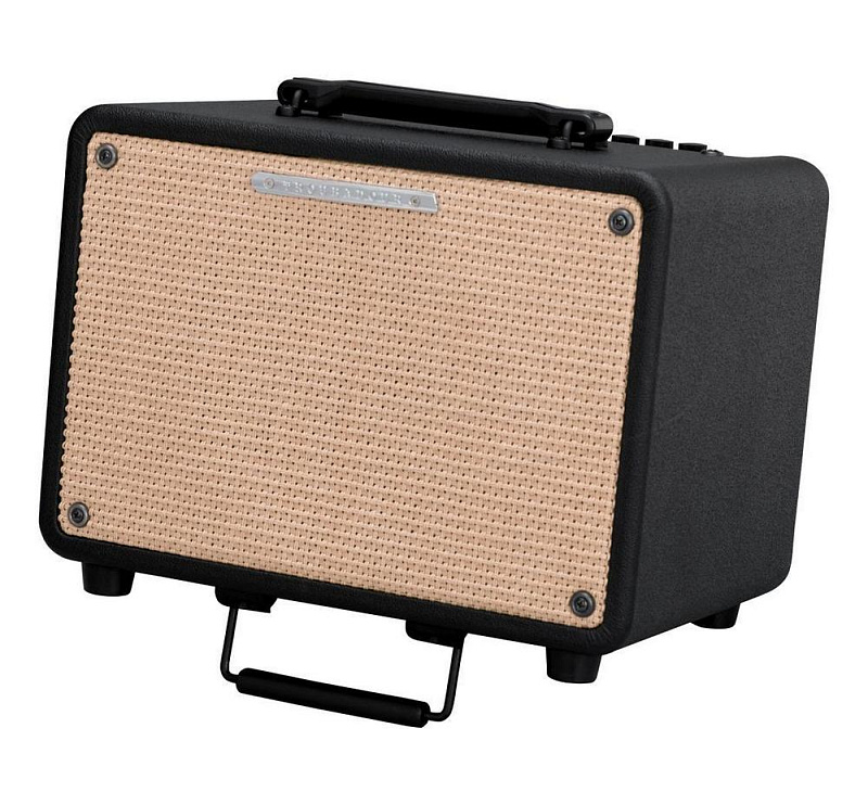 Фото Комбо IBANEZ T30-U TROUBADOUR ACOUSTIC COMBO