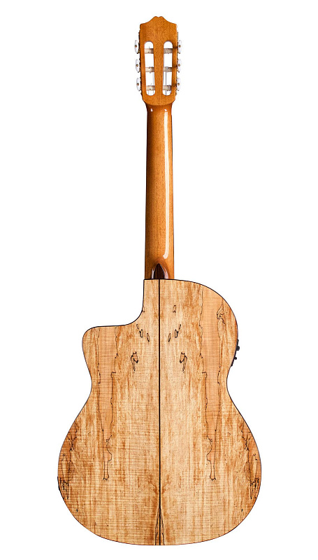 Фото CORDOBA C5-CET SPALTED MAPLE LIMITED 