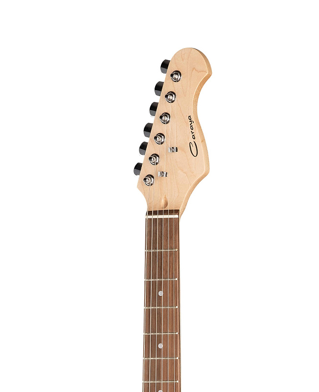 Фото Электрогитара Caraya E200TGR