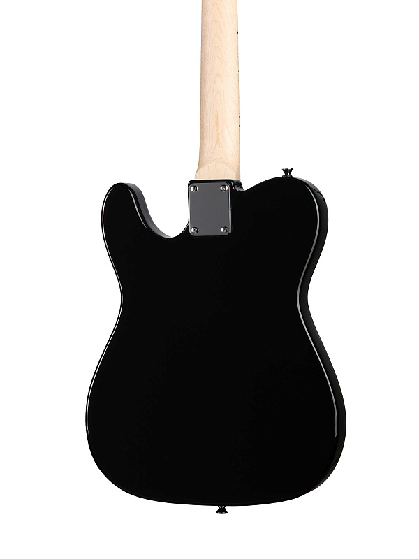 Фото Электрогитара Homage Telecaster SS HEG350BK  
