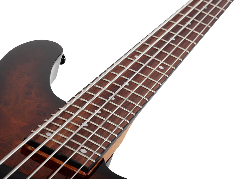Фото Бас гитара Schecter C-5 STANDARD TB