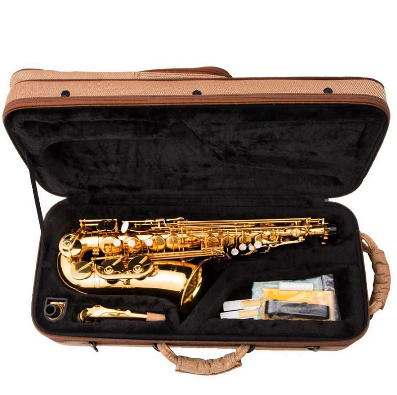 Саксофон альт eb Arnolds&Sons AAS-110YG в магазине Music-Hummer