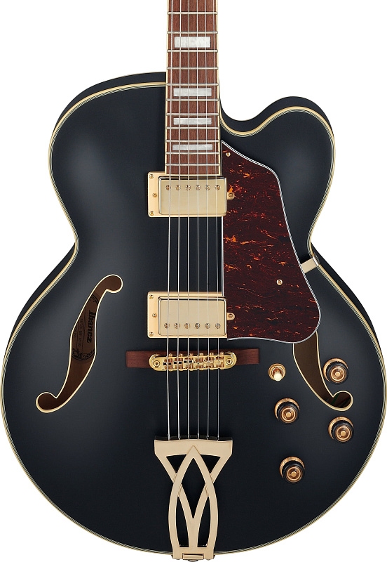 Фото Электрогитара IBANEZ AF75G-BKF