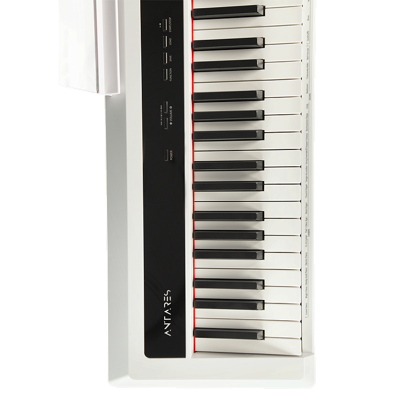 Фото Цифровое пианино Antares D-380 W