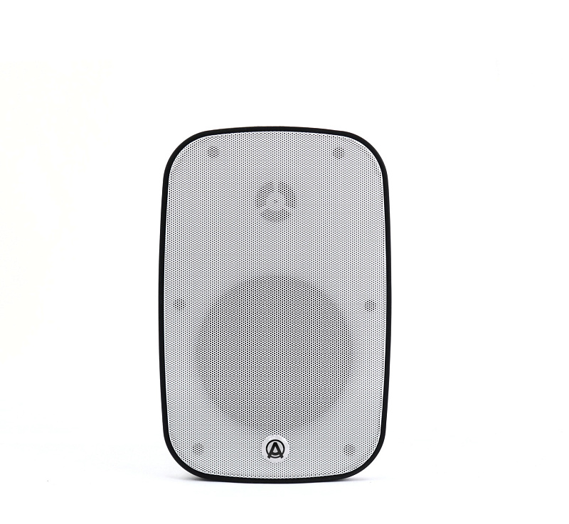 Фото Акустическая система AuraSonics DENSE-5T-WH