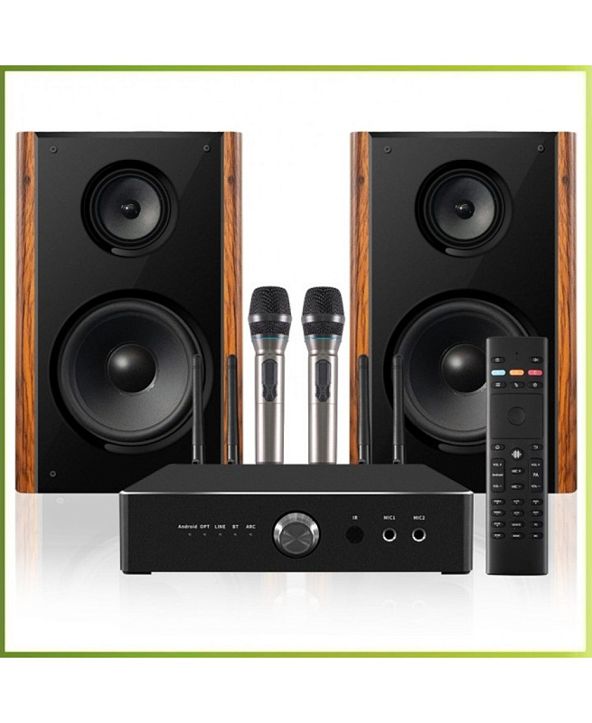 Фото Комплект караоке REXUS SA-2KA