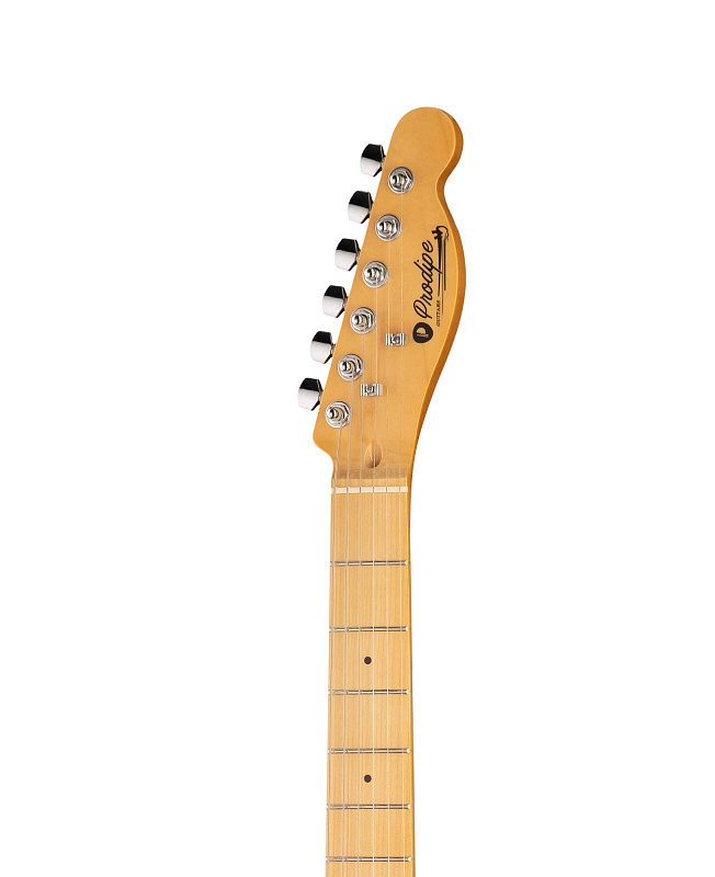 Фото Электрогитара Prodipe TC80MA JMFTC80MABS