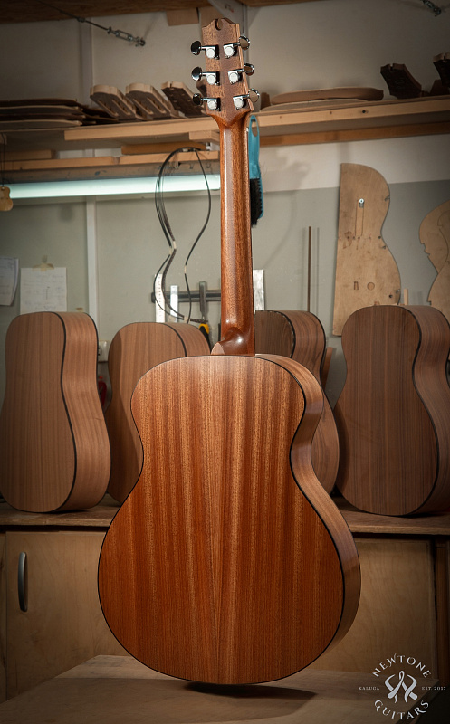 Фото Акустическая гитара NewTone LANTANA GA S N