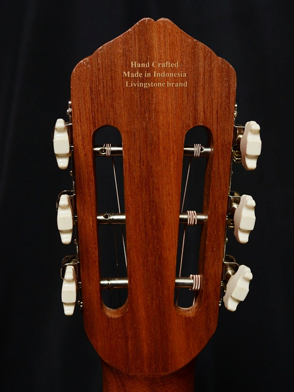 Фото Гитара Livingstone Folkblues NS 39" с вырезом