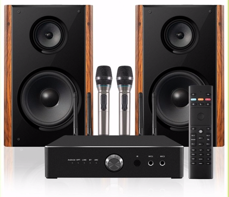 Фото Комплект караоке REXUS SA-2KA