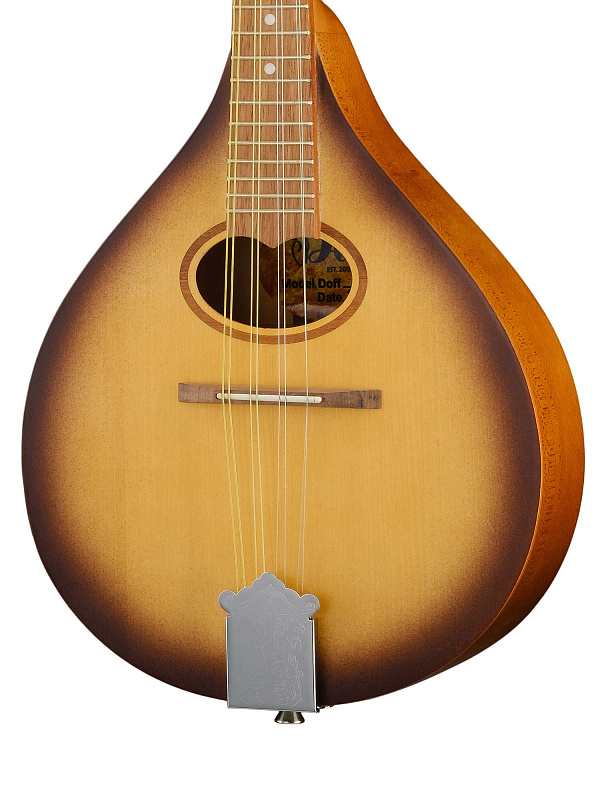 Фото P8 Мандолина португальская, Doff