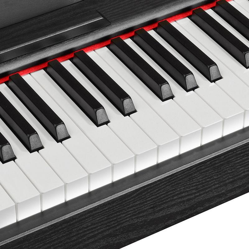 Фото Цифровое фортепиано EMILY PIANO D-47 BK