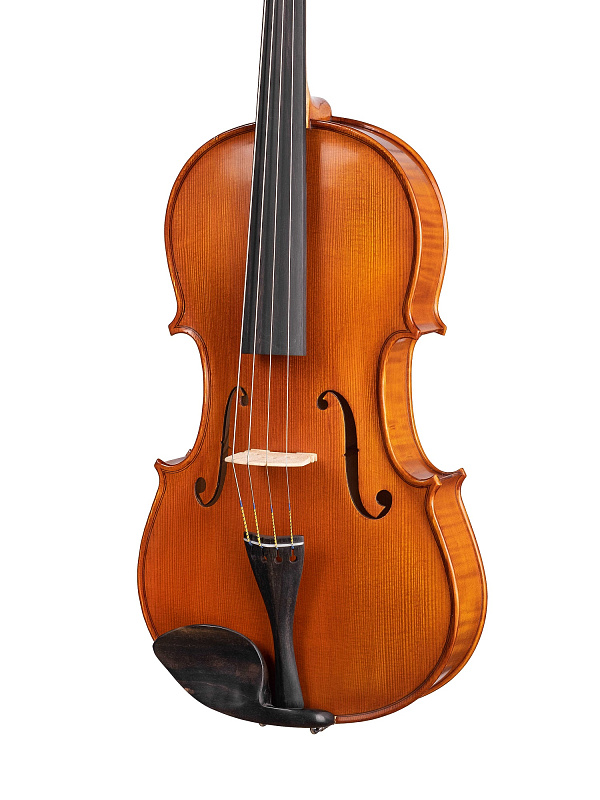 Фото Альт Gliga AW-V165 Workshop Gems 1