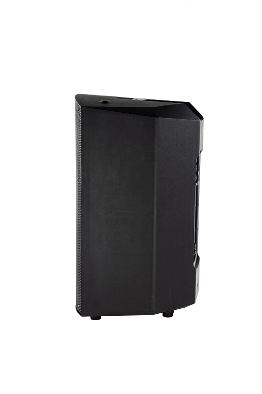 Фото Активная акустическая система SVS Audiotechnik SX-15A DSP