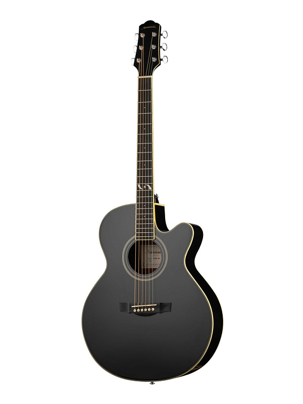 Фото Акустическая гитара Naranda F303CBK