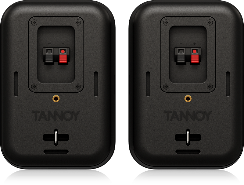 Фото Пара пассивных мониторов Tannoy VMS 1