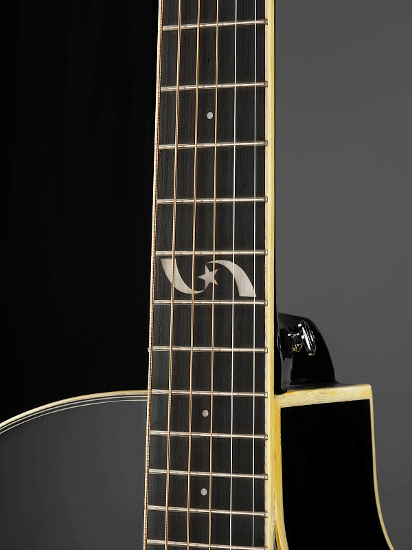 Фото Акустическая гитара Naranda F303CBK