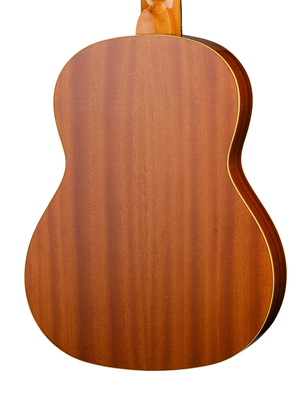 Фото Классическая гитара Ortega R122G Family Series 