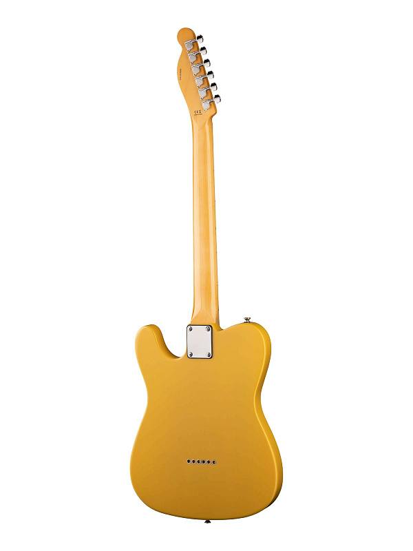 Фото Электрогитара Prodipe TC80MA JMFTC80MABS