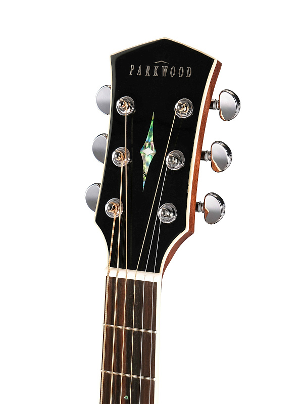 Фото Акустическая гитара Parkwood P610-WCASE-NAT