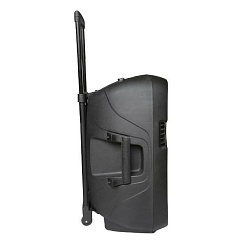 Активная акустическая система ECO VOYAGE XII