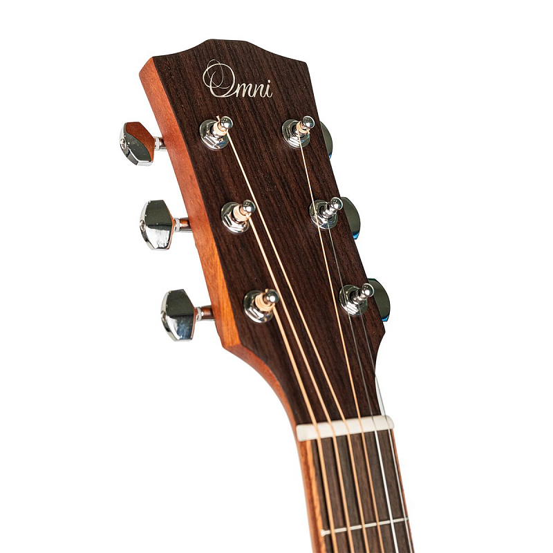 Фото Акустическая гитара Omni D-260S
