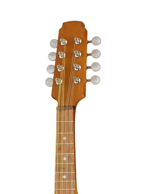 Фото P8 Мандолина португальская, Doff