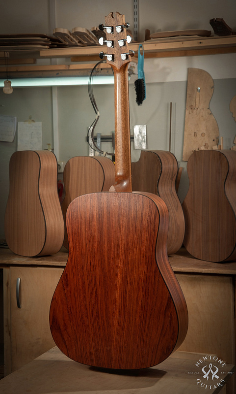 Фото Акустическая гитара NewTone NAOMI D S N 45